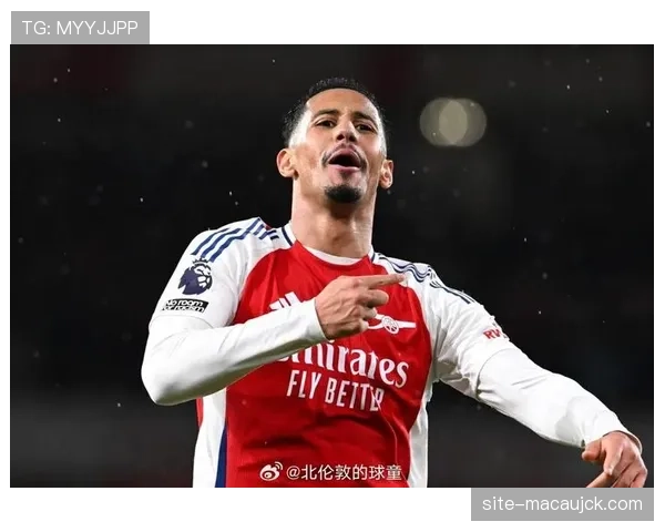 萨利巴技术全面防守稳健 法国年轻中卫成枪手未来核心